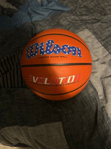 Men's Wilson Basketball (New)
