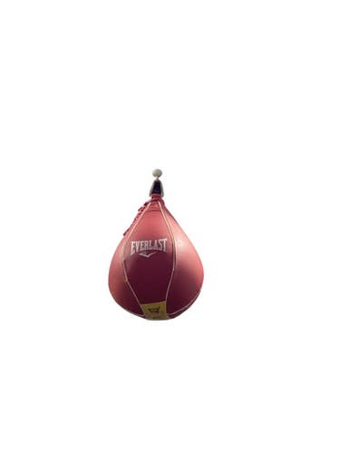 Used Everlast WALL MOUNT SPEED BAG Boxing Speed Bag White 11347-S000256370
