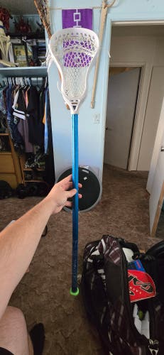 Used Gait Stick (newer model Torq on an 2010s Ice)