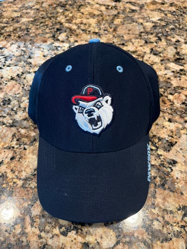 Vintage Pawtucket Red Sox Hat