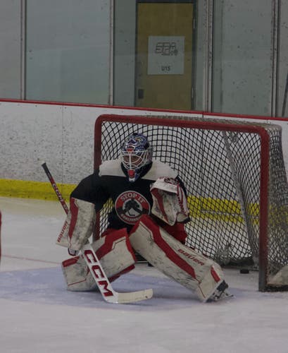 Small 2024 Bauer Supreme Shadow Goalie Set 33+ (Used) (NO TRAPPER)