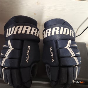 Warrior Alpha Gloves 9" (Used)