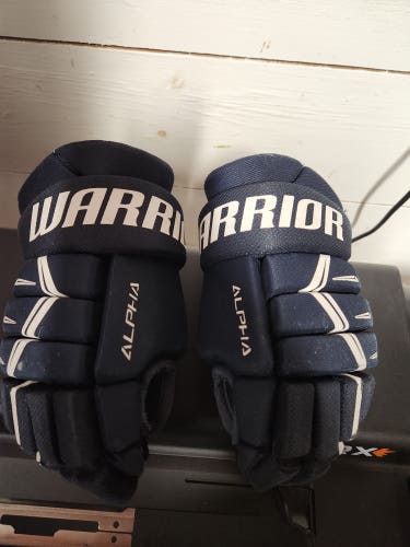 Warrior Alpha Gloves 9" (Used)