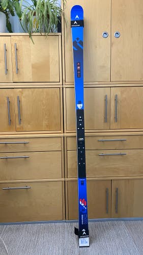 2025 Dynastar Speed WC FIS GS 188 cm Racing Skis Without Bindings (Used)