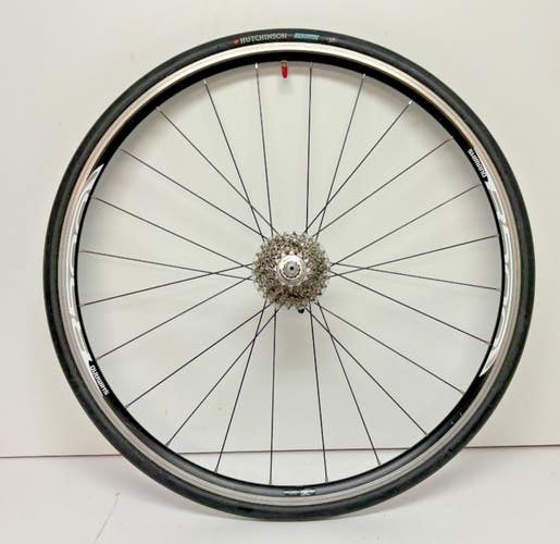 Shimano WH-R500 9-Speed 24-Spoke Black Aluminum 700C Rear Wheel Equinox Tire
