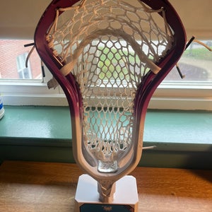 STX Surgeon 1K Strung Head