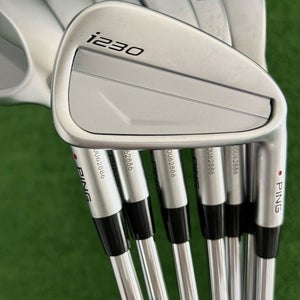 Ping i230 Iron Set 4-W / Dynamic Gold X100 Extra Stiff