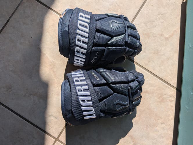 Warrior Gloves 11" (Used) Navy