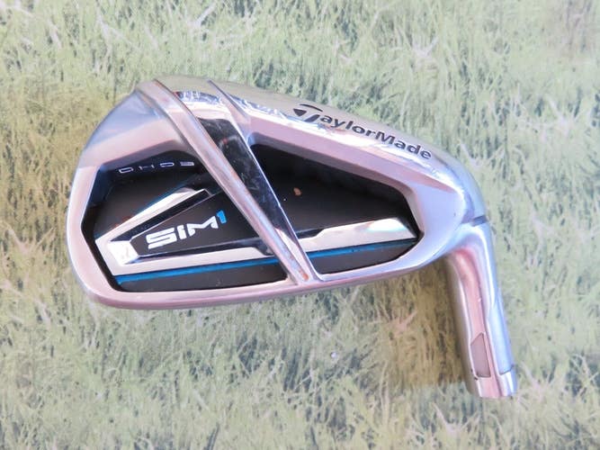 Taylormade SIM 1 ECHO PROTO 7 Iron Head
