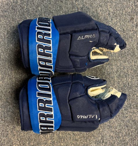 Warrior Alpha Gloves 14" Pro Stock (Used)