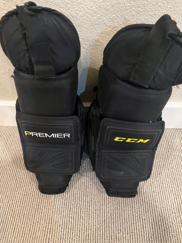 Large Premier Pro Goalie Chest (arms only)