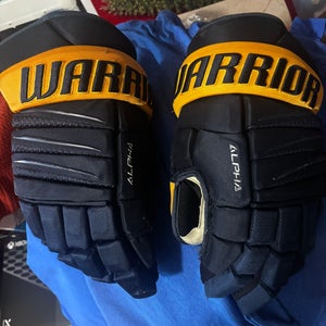 Warrior Alpha Pro Gloves 15" (Used)