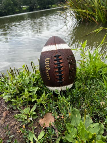 Adult Wilson Football (Used)