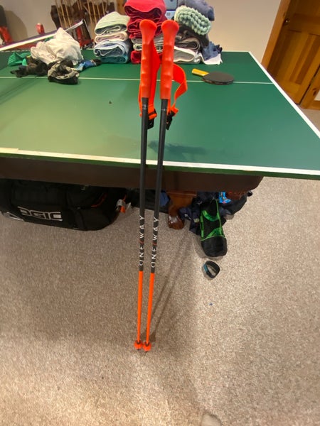 50in (125cm) Racing Ski Poles (Used)