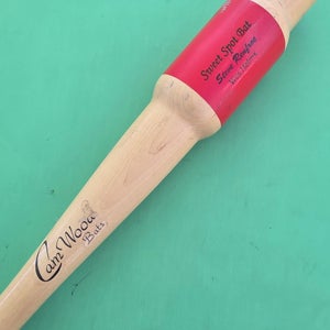 Cam Wood Sweet Spot Training Bat