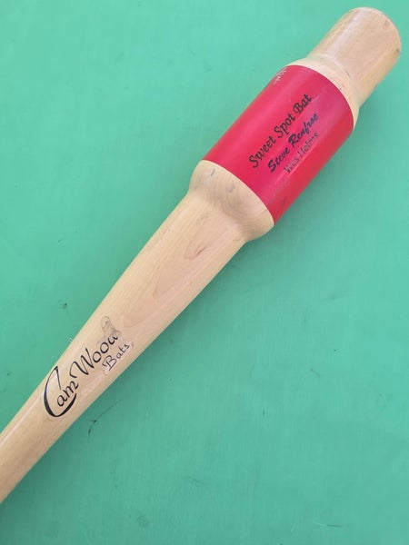 Cam Wood Sweet Spot Training Bat
