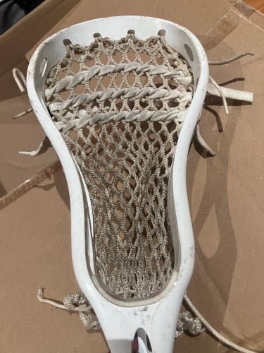Warrior Penitrator Box Head Rare