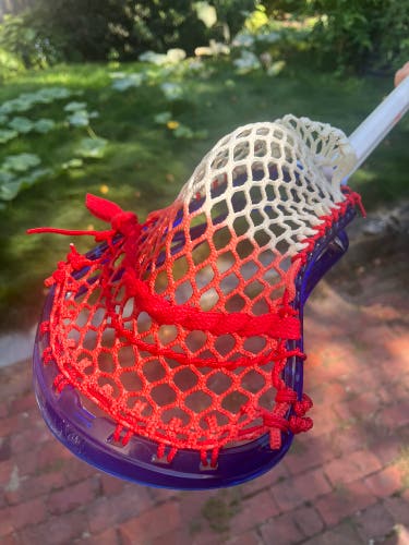 ECD Ion Strung Head (Used)