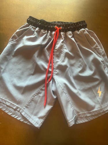 Gray Small Men's Shorts (Used)