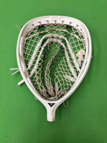 Goalie ECD Lacrosse Impact Strung Goalie Head