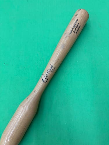 Cam Wood Batting Trainer