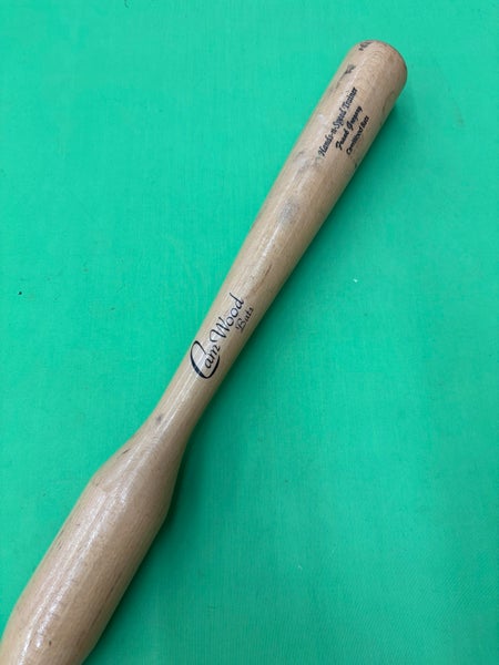 Cam Wood Batting Trainer
