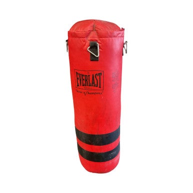 Used Everlast 40LB HEAVY BAG Boxing Heavy Bag Red 40 lb 11859-S000026122
