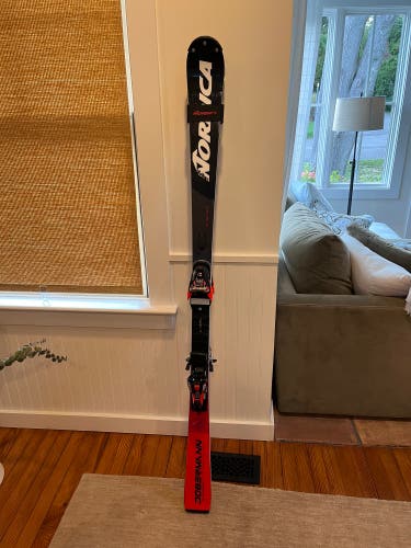 Men's 2025 Nordica Dobermann SL WC Skis