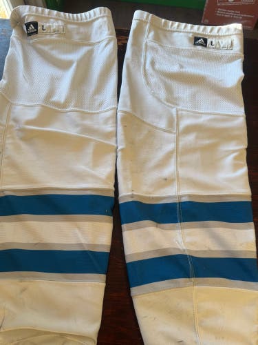 White Senior Winnipeg jets Large Adidas Socks Pro Stock (Used)