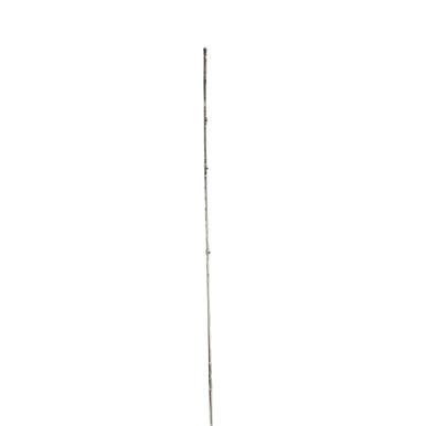 Used ZEBCO OMEGA ONE Camping Accessory 11479-S000405270