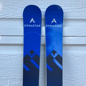 Women's Dynastar 188 cm Racing Speed WC FIS GS Skis Without Bindings (Used)