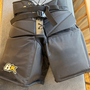 NEW JR Brians hockey goalie breezers