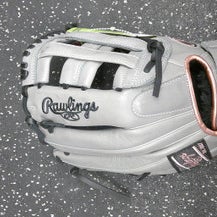 New Softball Glove