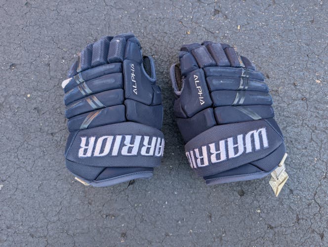 Warrior Alpha DX3 Gloves 11" (Used)
