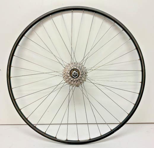 Vintage Matrix Titan 6-Speed 36-Spoke Gray Aluminum 700C Rear Wheel Sansin Hub