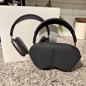 Apple Headphones (Used)