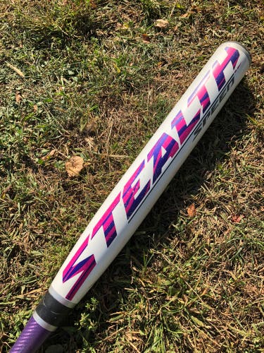 2016 Easton Stealth Composite Bat (-10) Composite 22 oz 32" (Used)