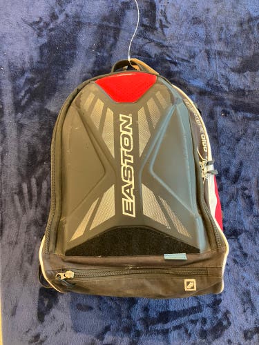 Red Easton Bags & Batpacks Bat Bag (Used)