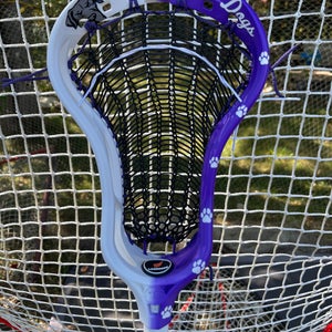 RC1 Head (New) PHILLY WATERDOGS THEME