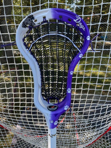 RC1 Head (New) PHILLY WATERDOGS THEME
