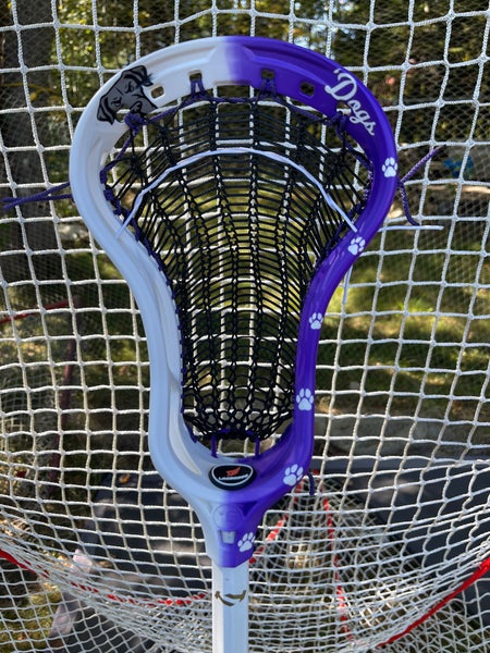 RC1 Head (New) PHILLY WATERDOGS THEME