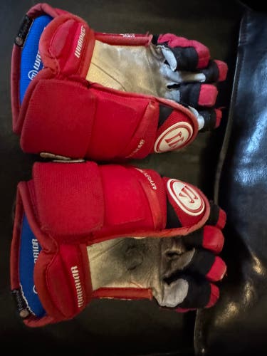 Warrior Covert Pro Gloves 10" (Used)