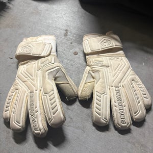 Medium/Large Goalie Gloves (Used)