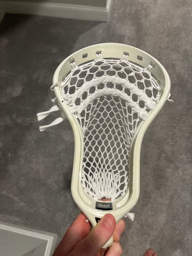 ECD DNA Head