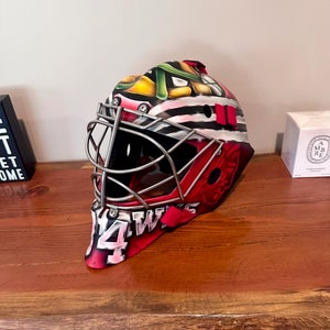 Custom painted 960 pro Goalie Mask