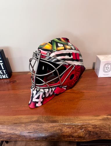 Custom painted 960 pro Goalie Mask
