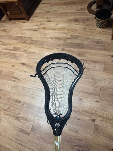 Warrior Evo V Lacrosse Gloves (New)