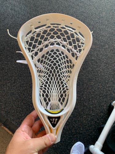 Warrior Regulator Max Strung Head (Used)