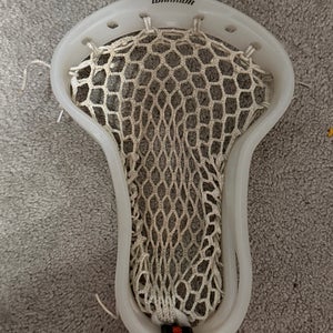 Bone Warrior Formula Head