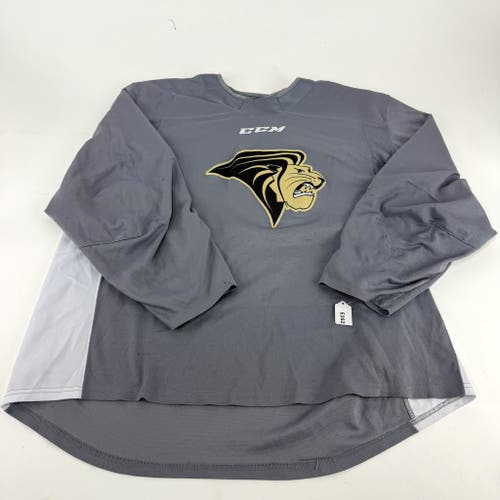 Used Grey Lindenwood CCM Practice Jersey | XL | E262